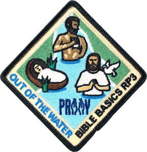 Picture of Out of the Water Patch