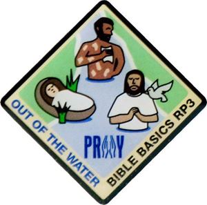 Picture of Out of the Water Pin