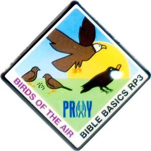 Picture of Birds of the Air Pin