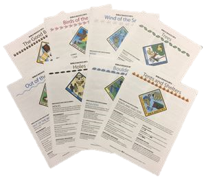 Picture of Set of Printed RP3 Curricula (17)