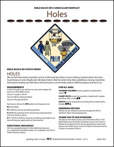 Picture of Holes Curriculum Pamphlet (PDF)