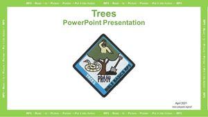Picture of Trees PowerPoint Presentation