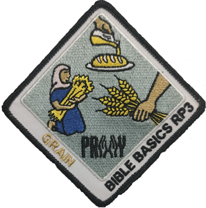 Picture of Grain Patch